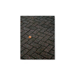 Echoes of Fall - Metal Prints