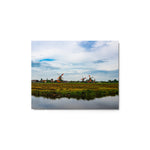 Wind Keepers Color - Metal Print