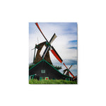 Windswept - Metal Print