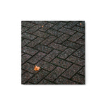 Echoes of Fall - Metal Prints