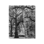 Guardians of the Garden - Metal Print