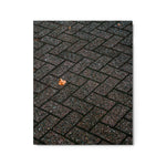 Echoes of Fall - Metal Prints
