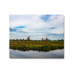 Wind Keepers Color - Metal Print