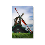 Windswept - Metal Print