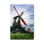 Windswept - Metal Print