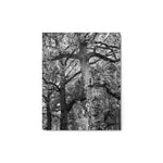 Guardians of the Garden - Metal Print