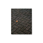 Echoes of Fall - Metal Prints