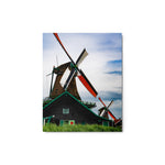 Windswept - Metal Print