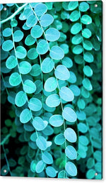Teal Leaves - Acrylic Print